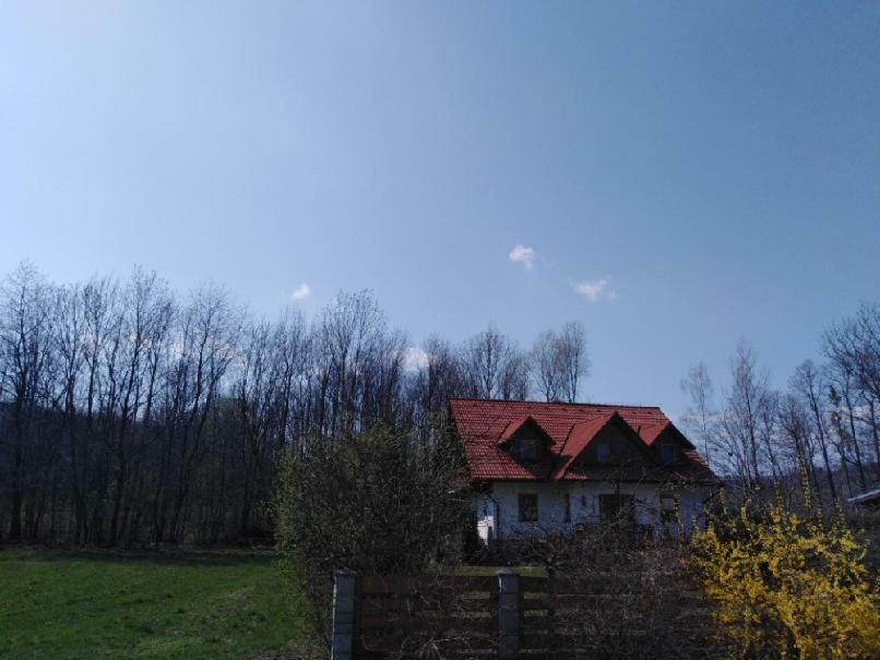Privat U Capu V Beskydech Daire Przno Dış mekan fotoğraf